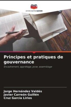 Principes et pratiques de gouvernance