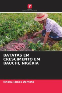 BATATAS EM CRESCIMENTO EM BAUCHI, NIGÉRIA