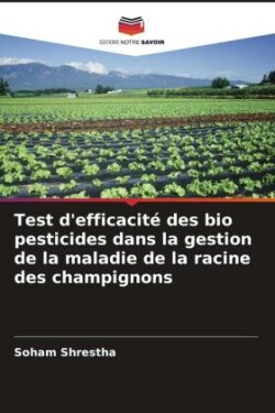 Test d'efficacité des bio pesticides dans la gestion de la maladie de la racine des champignons