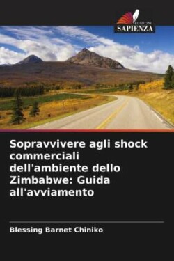 Sopravvivere agli shock commerciali dell'ambiente dello Zimbabwe: Guida all'avviamento