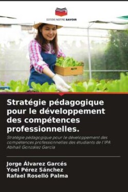 Stratégie pédagogique pour le développement des compétences professionnelles.