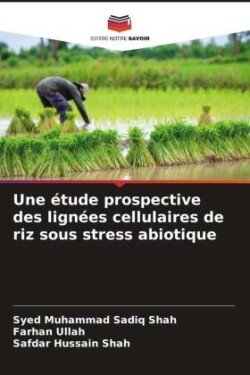 Une étude prospective des lignées cellulaires de riz sous stress abiotique