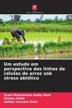 Um estudo em perspectiva das linhas de células de arroz sob stress abiótico