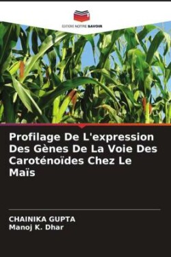 Profilage De L'expression Des Gènes De La Voie Des Caroténoïdes Chez Le Maïs