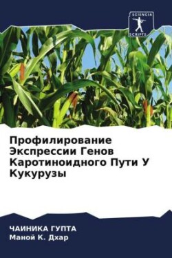 Profilirowanie Jexpressii Genow Karotinoidnogo Puti U Kukuruzy