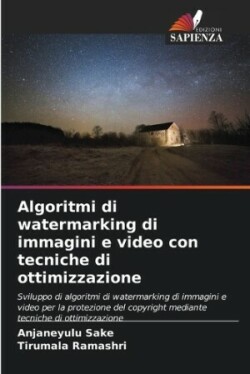 Algoritmi di watermarking di immagini e video con tecniche di ottimizzazione