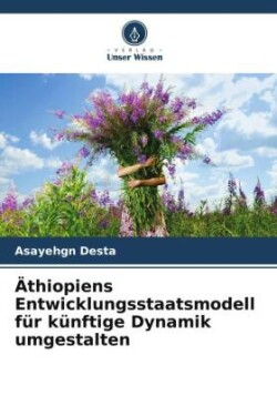 Äthiopiens Entwicklungsstaatsmodell für künftige Dynamik umgestalten