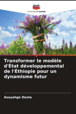 Transformer le modèle d'État développemental de l'Éthiopie pour un dynamisme futur