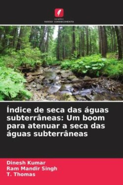 Índice de seca das águas subterrâneas: Um boom para atenuar a seca das águas subterrâneas