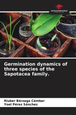 Germination dynamics of three species of the Sapotacea family.