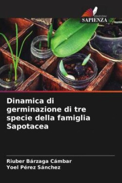 Dinamica di germinazione di tre specie della famiglia Sapotacea