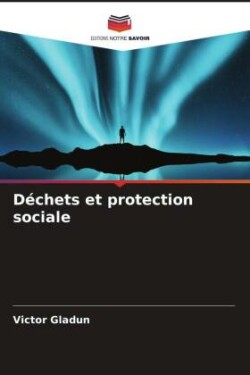 Déchets et protection sociale