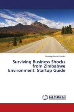 Surviving Business Shocks from Zimbabwe Environment: Startup Guide