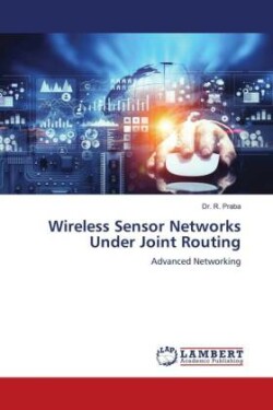 Wireless Sensor Networks Under Joint Routing