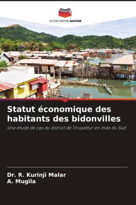 Statut économique des habitants des bidonvilles