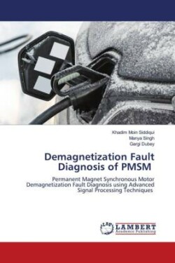 Demagnetization Fault Diagnosis of PMSM