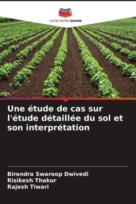 étude de cas sur l'étude détaillée du sol et son interprétation