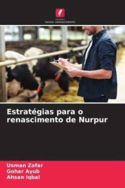 Estratégias para o renascimento de Nurpur