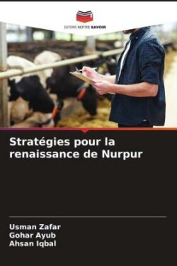 Stratégies pour la renaissance de Nurpur