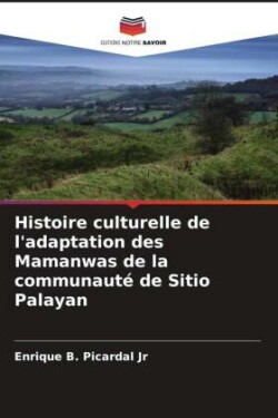 Histoire culturelle de l'adaptation des Mamanwas de la communauté de Sitio Palayan