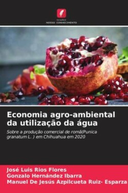 Economia agro-ambiental da utilização da água