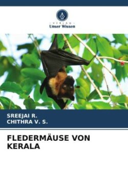 FLEDERMÄUSE VON KERALA