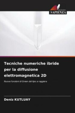 Tecniche numeriche ibride per la diffusione elettromagnetica 2D