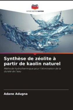 Synthèse de zéolite à partir de kaolin naturel