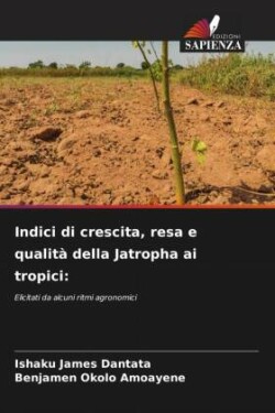 Indici di crescita, resa e qualità della Jatropha ai tropici