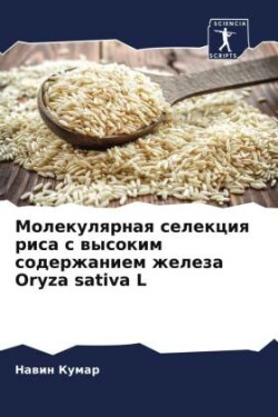 Молекулярная селекция риса с высоким соде