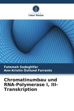 Chromatinumbau und RNA-Polymerase I, III-Transkription