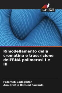 Rimodellamento della cromatina e trascrizione dell'RNA polimerasi I e III