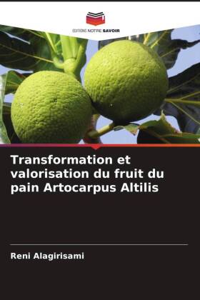 Transformation et valorisation du fruit du pain Artocarpus Altilis