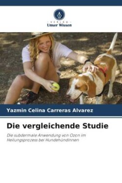 vergleichende Studie