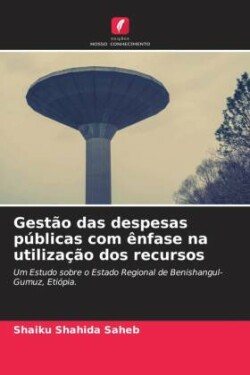 Gestão das despesas públicas com ênfase na utilização dos recursos