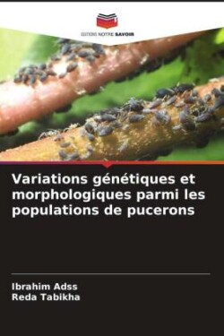 Variations génétiques et morphologiques parmi les populations de pucerons