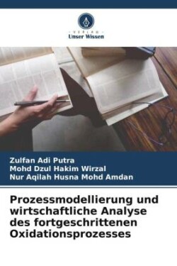 Prozessmodellierung und wirtschaftliche Analyse des fortgeschrittenen Oxidationsprozesses