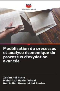 Modélisation du processus et analyse économique du processus d'oxydation avancée