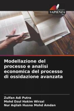 Modellazione del processo e analisi economica del processo di ossidazione avanzata