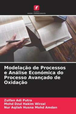 Modelação de Processos e Análise Económica do Processo Avançado de Oxidação