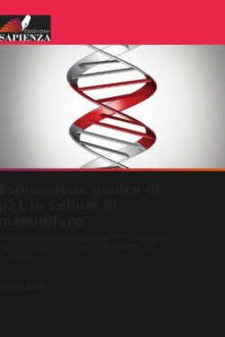 Espressione genica di p21 in cellule di mammifero