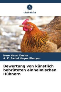 Bewertung von künstlich bebrüteten einheimischen Hühnern