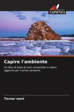 Capire l'ambiente