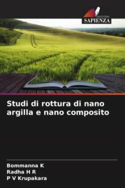 Studi di rottura di nano argilla e nano composito