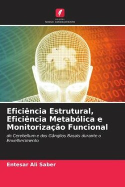 Eficiência Estrutural, Eficiência Metabólica e Monitorização Funcional