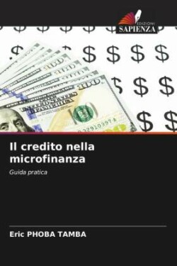 credito nella microfinanza