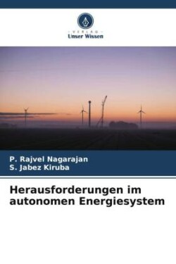 Herausforderungen im autonomen Energiesystem