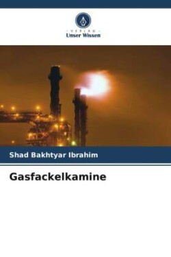 Gasfackelkamine