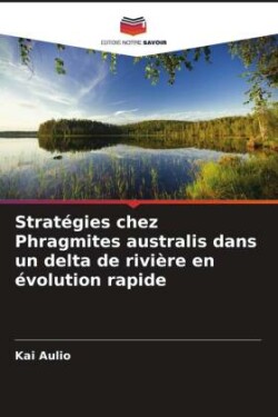 Stratégies chez Phragmites australis dans un delta de rivière en évolution rapide