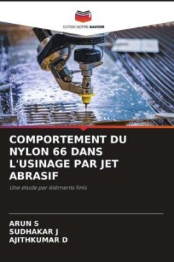 COMPORTEMENT DU NYLON 66 DANS L'USINAGE PAR JET ABRASIF